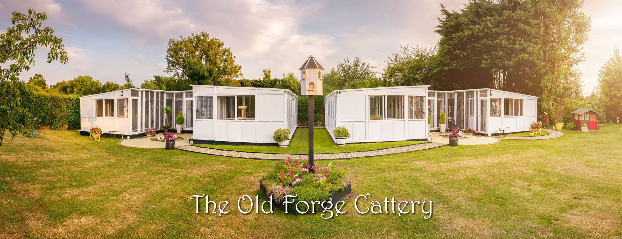 Old Forge Cattery 2