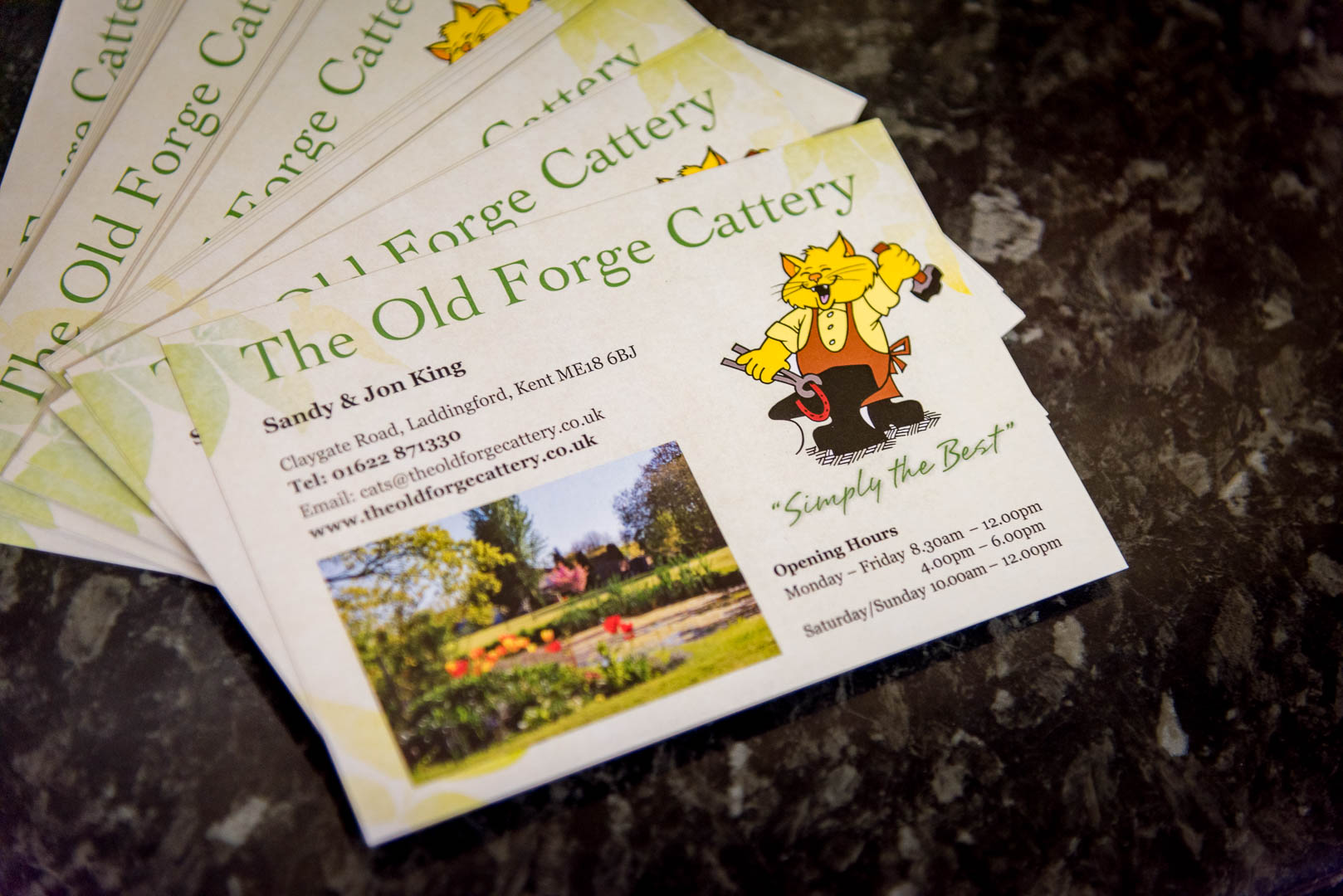 Old-Forge-Cattery-Sandy-Jon